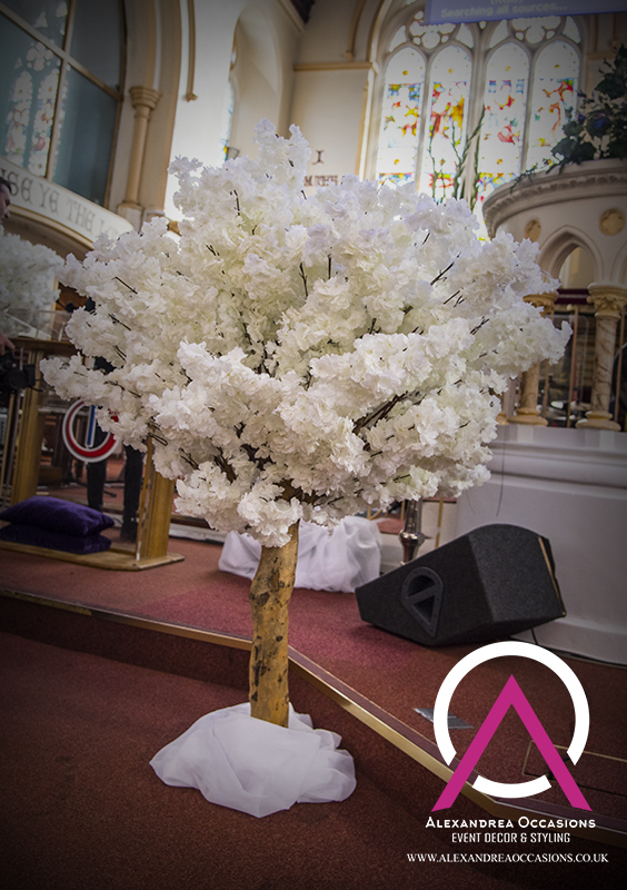 Blossom Trees Blossom Trees Hire For Weddings & Events